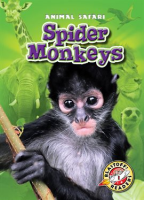 Spider_Monkeys