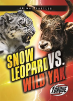 Snow_Leopard_vs__Wild_Yak