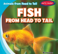 Fish_from_Head_to_Tail