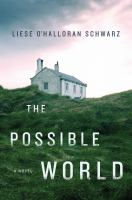 The_possible_world