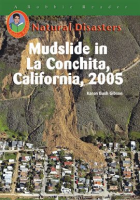 Mudslide_in_La_Conchita__California__2005