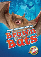 Brown_Bats