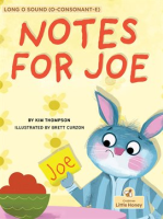 Notes_for_Joe