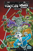 Teenage_Mutant_Ninja_Turtles_Usagi_Yojimbo__WhereWhen