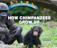 How_Chimpanzees_Grow_Up