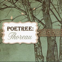 Poetree__Thoreau