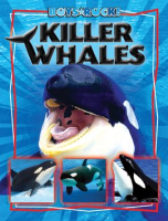 Killer_Whales