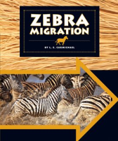 Zebra_Migration
