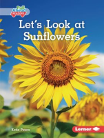 Let_s_Look_at_Sunflowers