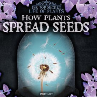 How_Plants_Spread_Seeds