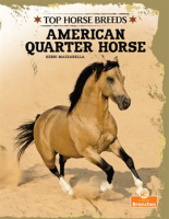 American_Quarter_Horse