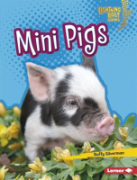 Mini_Pigs
