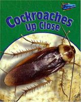 Cockroaches_up_close