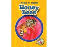 Honey_Bees